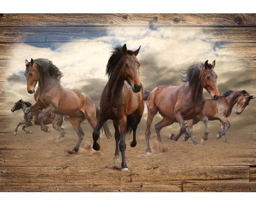 Galoppierende Pferde auf einem hölzernen Hintergrund in einer dynamischen Fototapete.