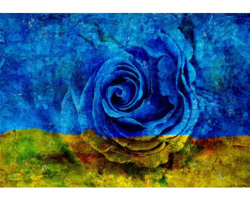 Gemalte Rose in einem floralen Muster auf Fototapete, farbenfroh und anspruchsvoll.