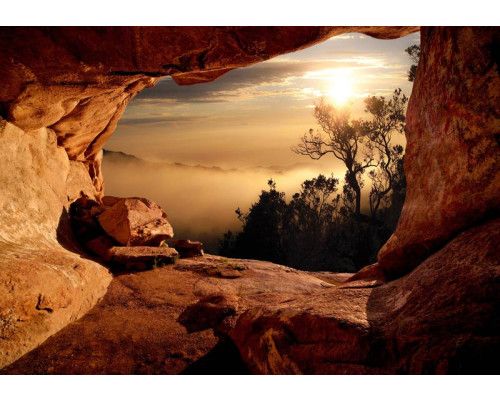 Blick auf einen nebligen Wald aus einer Höhle, mit 3D-Effekten für Tiefe und Atmosphäre.