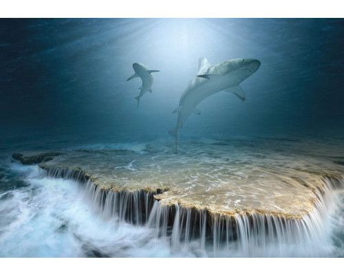 Haie schwimmen um einen Wasserfall in einer lebendigen Ozeanlandschaft, die auf dieser dramatischen Fototapete dargestellt ist.