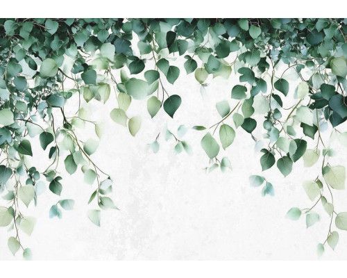 Fotobehang met hangende groene bladeren in verschillende vormen op een lichte, neutrale achtergrond.