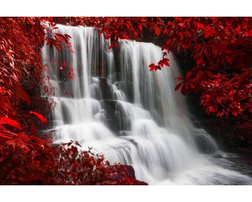 Fototapete einer Herbstlandschaft mit einem Wasserfall, der durch den Wald fließt, umgeben von bunten Blättern.