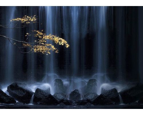 Fototapete Herbstzweig am Wasserfall