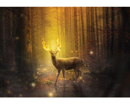 Fototapete eines Rehs in der prallen Sonne, Wald und märchenhafter Atmosphäre.