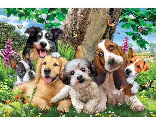 Welpen und Schmetterlinge, tollwütige Tier-Fototapete mit fröhlichen Tieren und einem verspielten Look.