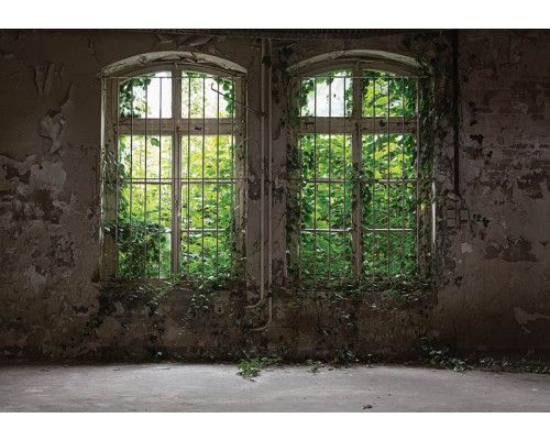 Verlassene Industriegebäude und Pflanzen kommen auf dieser Fototapete zusammen und schaffen eine geheimnisvolle und vernachlässigte Atmosphäre.