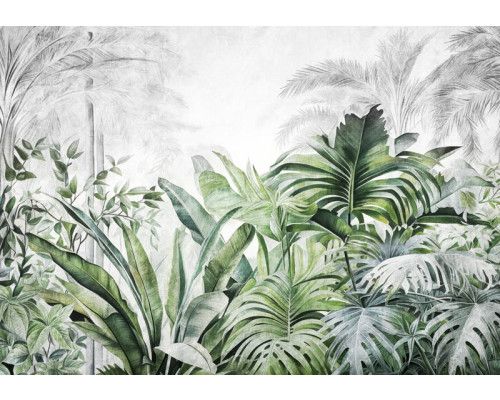 Fototapete mit tropischen Dschungelpflanzen und Blättern in einer botanischen Umgebung.