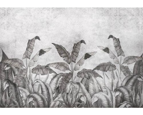Schwarz-weiße Fototapete mit Dschungelpflanzen und Blättern auf einem Betonhintergrund, mit einem kühnen und stilvollen Kontrast.