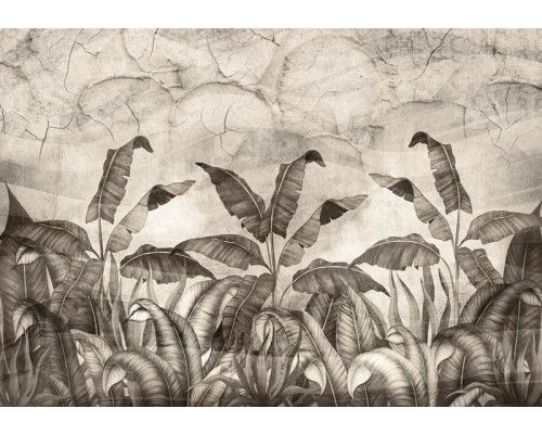 Fototapete mit Dschungelpflanzen und Blättern, die vor einer Betonwand wachsen, mit einem natürlichen und beruhigenden Gefühl.