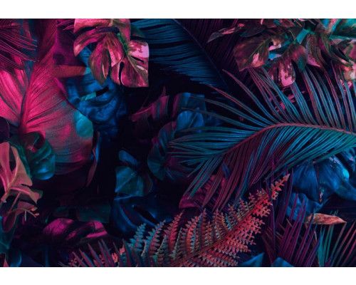 Detaillierte Dschungelblätter in einem natürlichen botanischen Stil, dargestellt in satten Grüntönen auf dieser Fototapete.