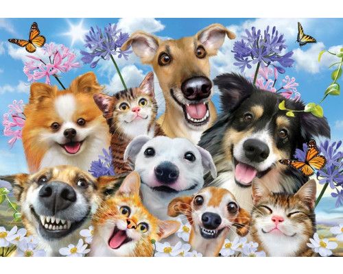 Lustige Hunde und Katzen, die zusammen auf einer Fototapete stehen.