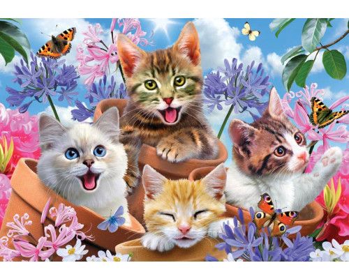 Kätzchen und Schmetterlinge, verrückte Tierfototapete mit einem verspielten und fröhlichen Look für Kinder.