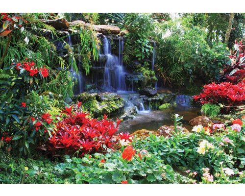 Fototapete eines bunten Dschungels mit Wasserfall, Garten, Blumen und Grünpflanzen.