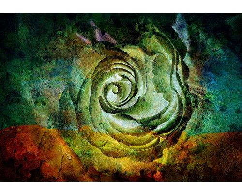 Bunte Rose im künstlerischen Malstil auf Fototapete.