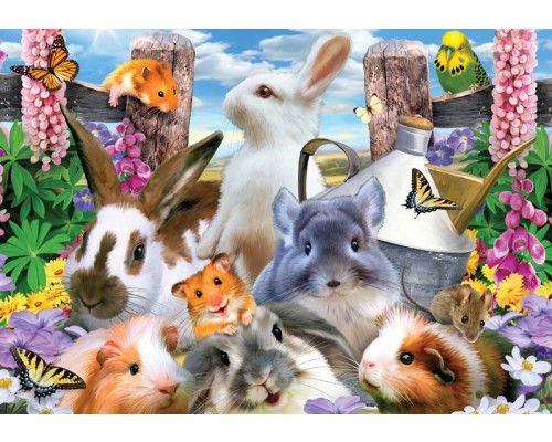 Hamster und Murmeltiere in einem verrückten Rennen, Fototapete mit Nagetieren für einen fröhlichen Look.