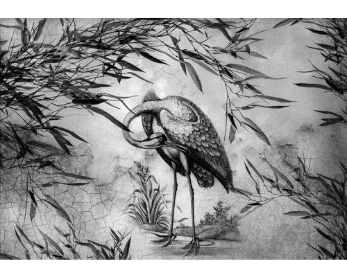 Schwarz-Weiß-Bild eines Kranichs in einer ruhigen natürlichen Umgebung, mit klaren Linien.