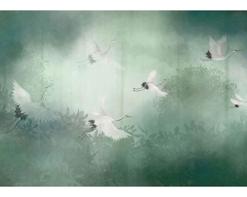 Fototapete Kraniche im Nebelwald