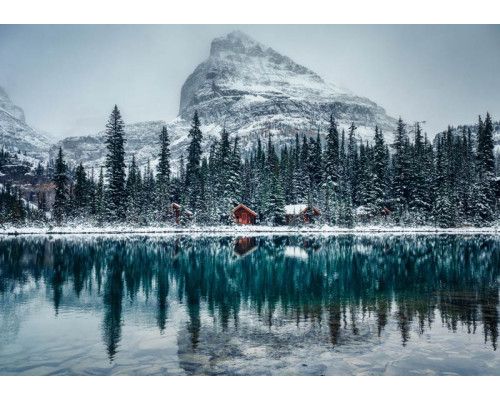 Fototapete vom O'Hara-See in Kanada, der im Yoho-Nationalpark liegt, mit einem bezaubernden See und riesigen Bergen.