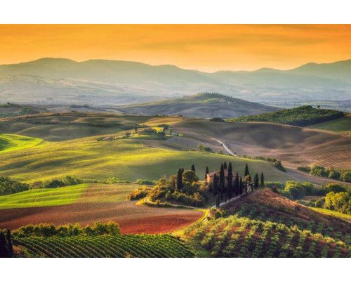 Fototapete einer toskanischen Landschaft in Italien, wo Weinberge und Berge die ruhige Aussicht dominieren.