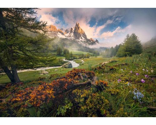 Letzte Paradies Paradies Fototapete, mit einer idyllischen Landschaft, ideal für Entspannung.