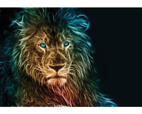 Blauäugiger Löwe Fototapete, beeindruckendes Tierporträt.