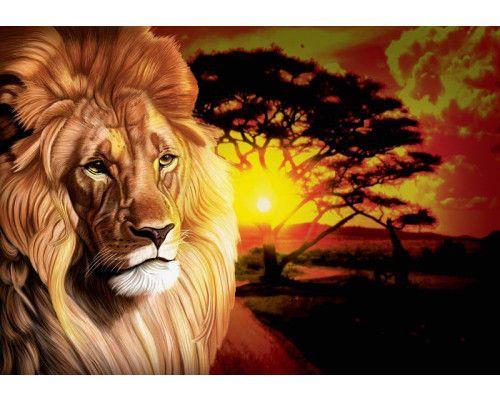 Fototapete eines Löwen bei Sonnenuntergang in afrikanischer Landschaft.