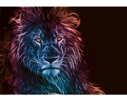 Fototapete mit Löwen im abstrakten Kunststil, dynamisch und bunt.