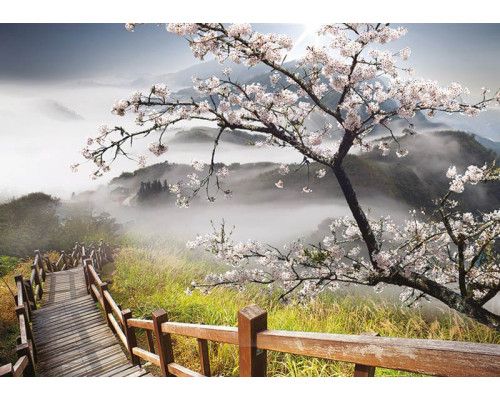 Fototapete Frühlingslandschaft mit Bergen und Bäumen, beruhigende Naturszene.