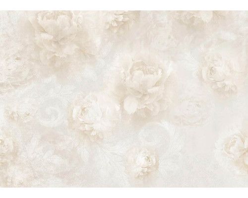 Fototapete Hellbeige Blumen