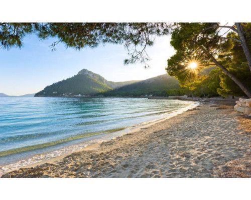 Einsames Paradies Karibisches Meer Strand Fototapete, mit einem friedlichen Strand.