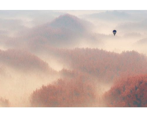 Fototapete eines Heißluftballons, der über einem nebligen Wald schwebt, mit Bäumen, die im Dunst verschwinden.