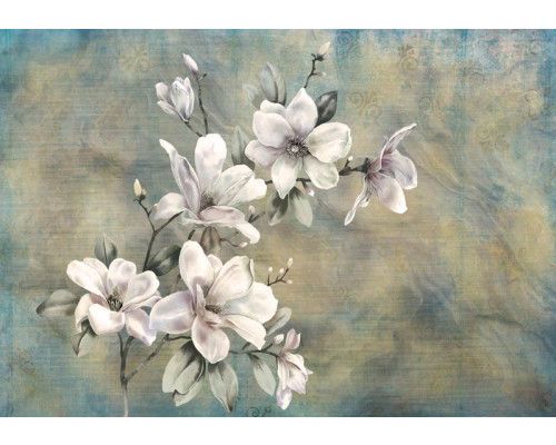 Vintage-Fototapete mit einem Gemälde einer Magnolienblüte im Retro-Stil.