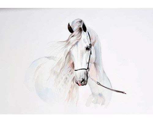 Fototapete eines majestätischen weißen Pferdes in einer dynamischen Pose, ideal für Pferdeliebhaber.