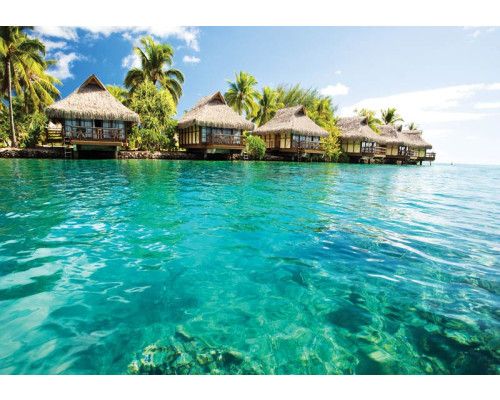 Malediven, tropisch gerendert auf einer Fototapete mit Meer, Sonne und Strand für eine sommerliche Atmosphäre.