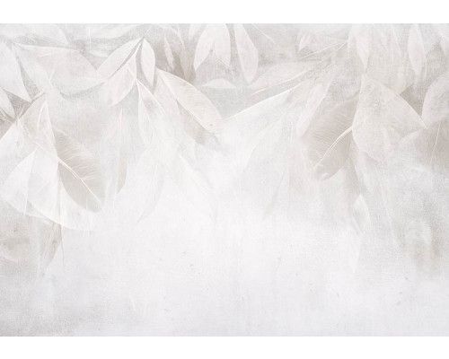 Fototapete mit minimalistischem botanischem Design aus feinen Blättern in neutralen und natürlichen Farbtönen.