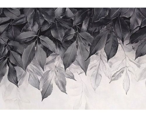 Fotobehang met minimalistische botanische bladeren in zwart-wit op een lichte achtergrond.