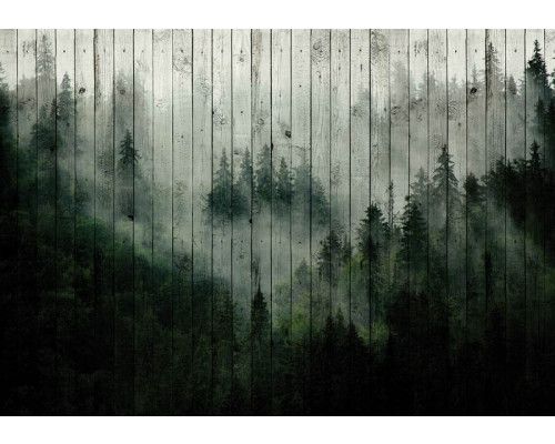 Neblige Wald-Fototapete mit Bäumen auf einem Holzplanken-Hintergrund.