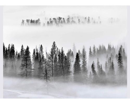 Fototapete Nebliger Morgen