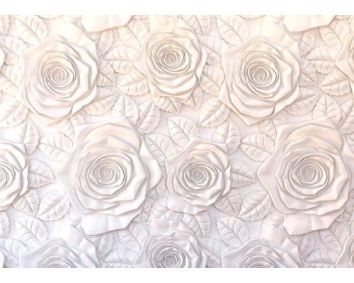 Fototapete Wand aus weißen Rosen