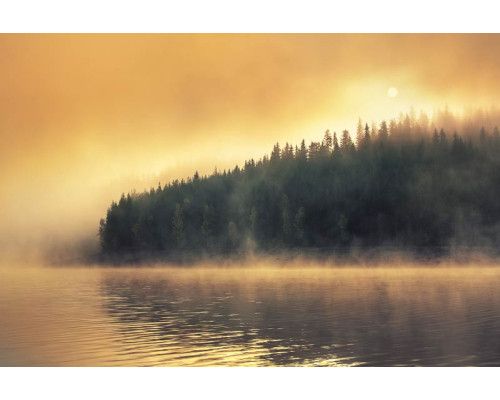 Fototapete eines geheimnisvollen Waldes am Rande eines Sees, wo dichter Nebel die Landschaft bedeckt.