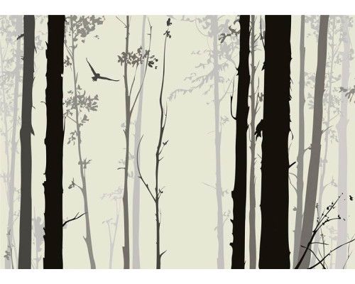 Fototapete Mystic Forest