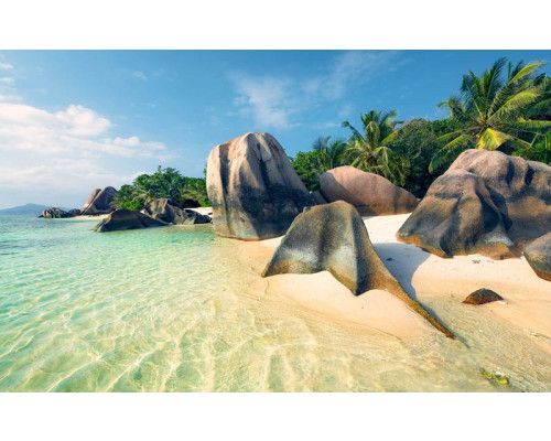 Ozean Perle Palmen Strand Fototapete, ideal für ein tropisches Zimmer.