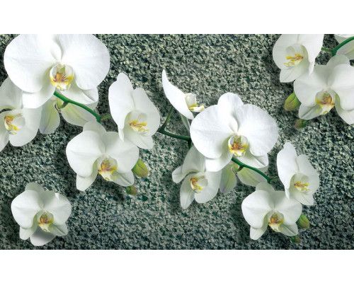 Orchideenblüten auf einem Betonhintergrund, gerendert auf einer modernen und stilvollen Fototapete.