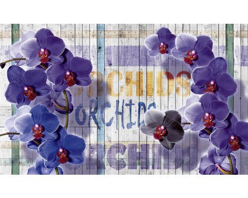 Fototapete von Orchideen auf einem hölzernen Hintergrund, zarte Blumen in voller Blüte.