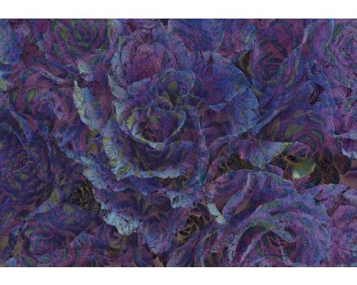 Lila Rose in einem malerischen Stil auf Fototapete.