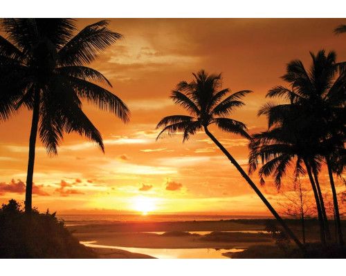 Palmen bei Sonnenuntergang, Fototapete mit sommerlicher und tropischer Atmosphäre für ein entspanntes Interieur.