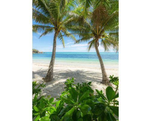 Palmen Strand Fototapete, mit schwankenden Palmen und einem tropischen Strand.