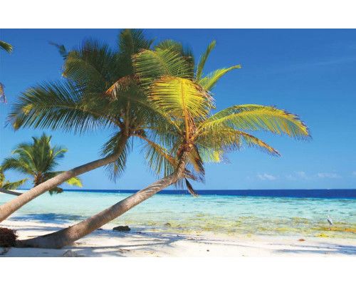 Fototapete von einem tropischen Strand mit grünen Palmen, einem azurblauen Meer und einer strahlenden Sonne am Horizont.