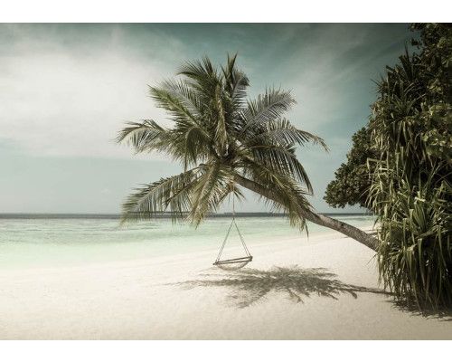 Palme mit Schaukel am Meer, Fototapete für einen sorglosen und tropischen Look.