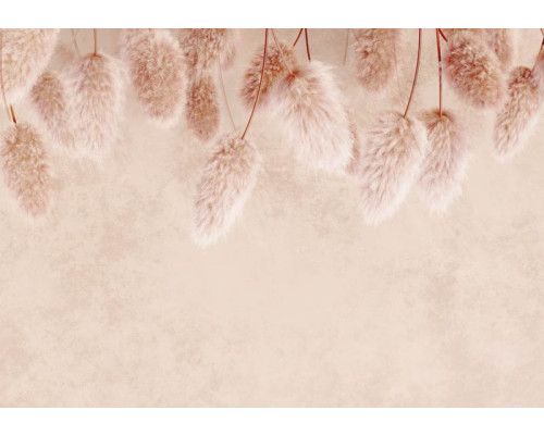 Pampasgras vor einer Betonwand in dieser Fototapete, mit einer subtilen Mischung aus Natur- und Industriestrukturen.